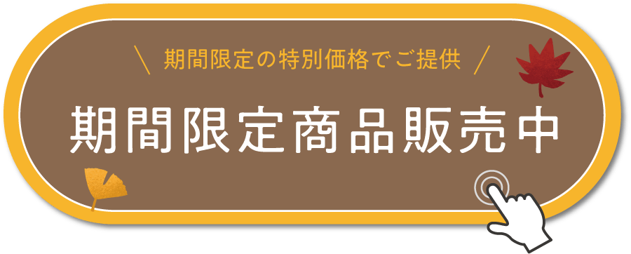 期間限定セール開催中